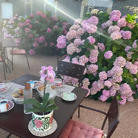 Domaine De La Carrere Guest house Arthez-de-Bearn